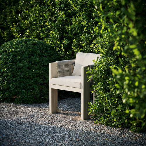 Ralph-Ash Dınıng Chaır