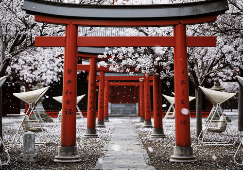 Gemma Pıke Tekli Salıncak