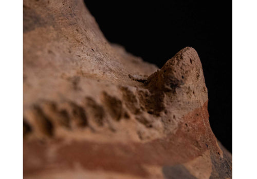 Alına Square Coffee Table